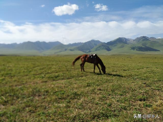 演员银雪:为什么不少人吐槽电视剧《三千鸦杀》选错了女主、剧情过于套路