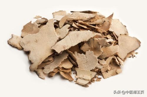 龟板胶的功效与作用:乌龟壳有什么作用和功效？