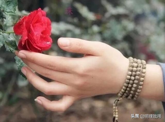 93属鸡人2022年全年运势,属鸡的戴什么手串寓意好？