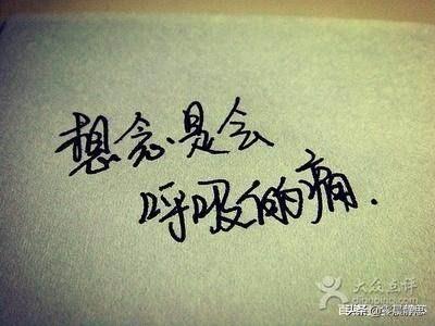 “不要赌上所有去爱一个人,否则你会输的一无所有”怎么看？