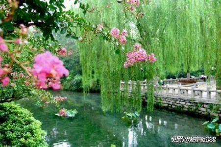 妳你说你老公是谁:丈夫常被称呼为一家之主。你认可吗？为什么？
