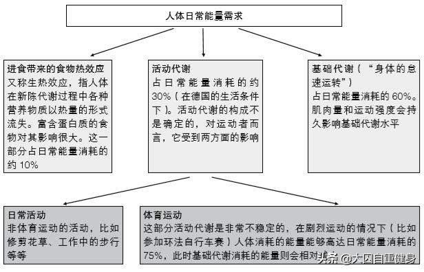 爬山减肥(爬山减肥效果好吗)