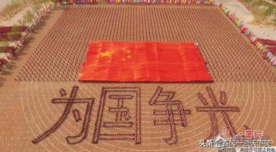 动物星球 训狗有方:拜登执政满月，美国老百姓满意度如何？