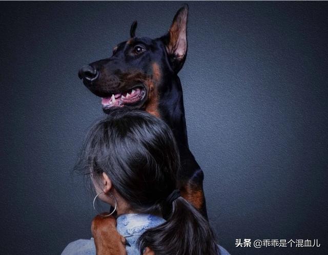 女人和大型狗狗分不开:为什么狗有大型犬和小型犬之分却人没有大型人和小型人之分呢？