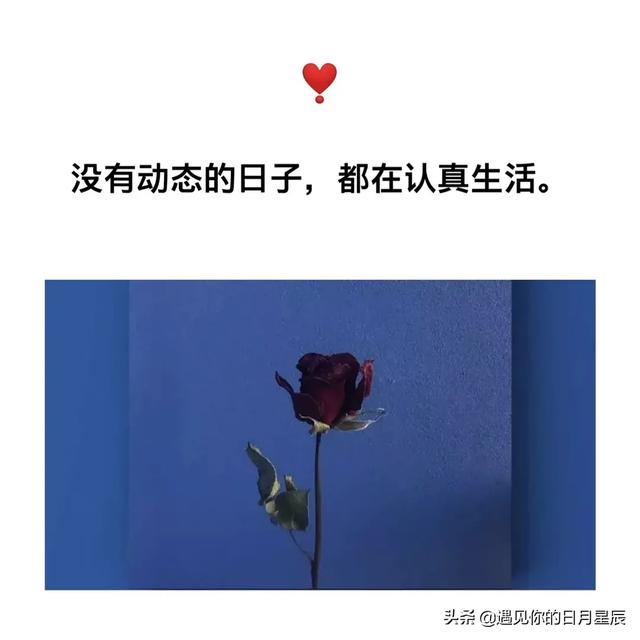 有没有第一眼就爱上的可爱又温柔的短句
