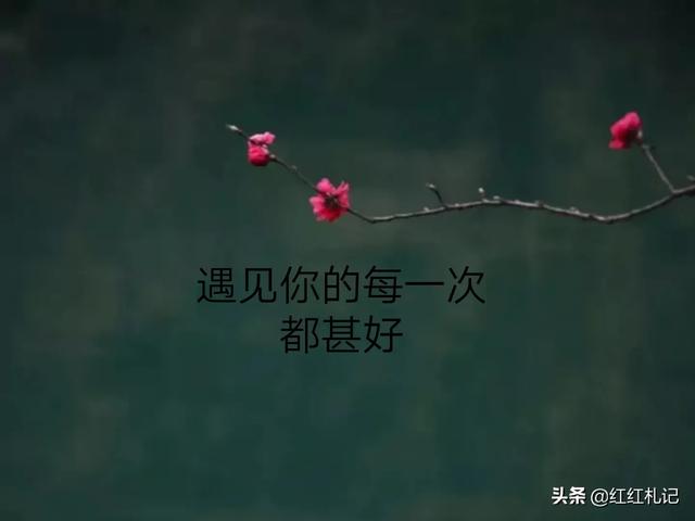 有没有一句台词让你瞬间泪崩？