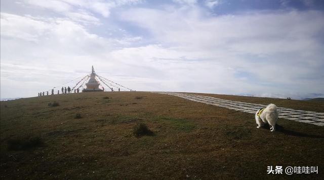 萨路基沙漠追羚羊视频:今年7月适合去哪儿旅游？