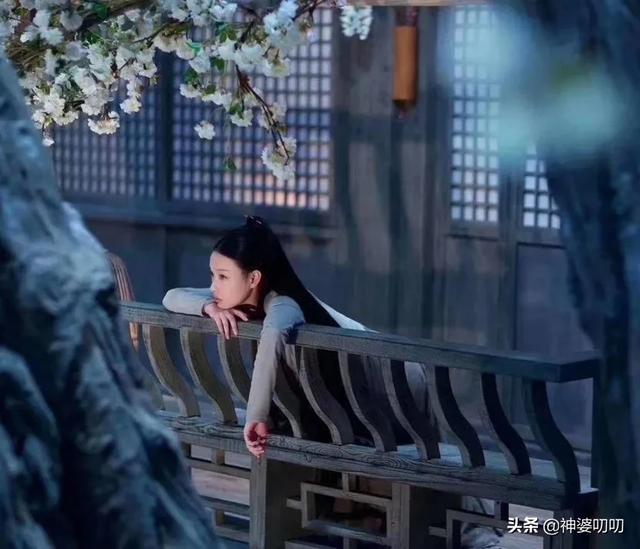林申老婆:《雪中悍刀行》拍电视剧了！你觉得演员阵容应该是什么样的呢？