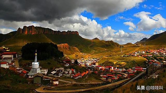 萨路基沙漠追羚羊视频:今年7月适合去哪儿旅游？