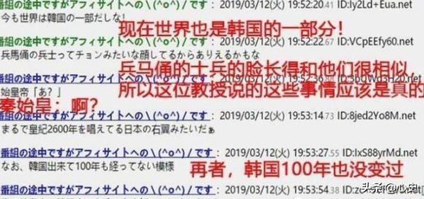萌物哥伦比亚侏儒兔:为什么感觉很多人讨厌韩国？