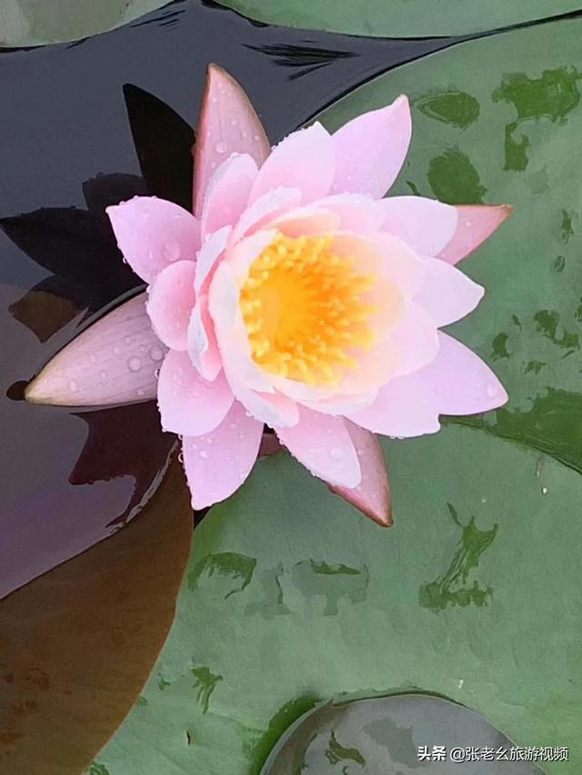 如何拍出一段好的视频？