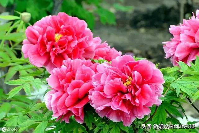 写小说是怎么挣钱的？业余人员可以写小说挣钱吗？