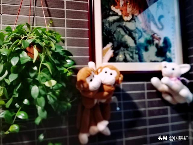你独自一人在家,会做什么呢？