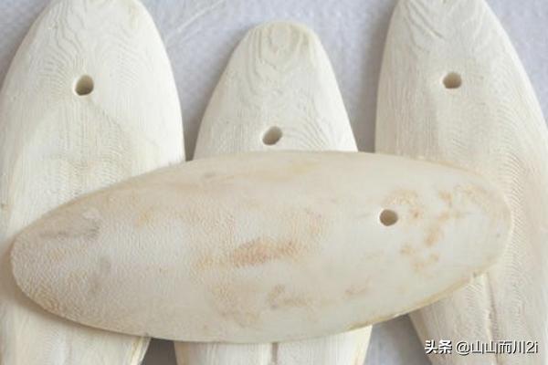 虎皮鹦鹉怎么养:虎皮鹦鹉怎么养粘人 你们有过哪些养虎皮鹦鹉的经验？