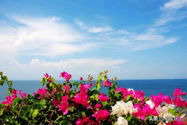 面朝大海春暖花开很美吗