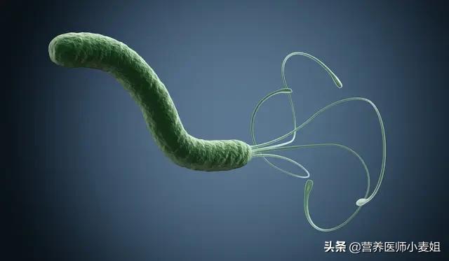 什么食物可以起到养胃,消灭幽门螺杆菌的作用？