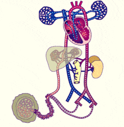 246_251gif 动态图 动图