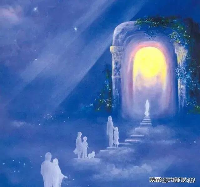盗梦空间结局什么意思:诺兰的电影《盗梦空间》是怎样的一部电影