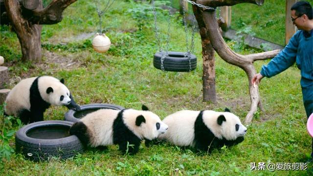 重庆现最迷你电梯:重庆有哪些适合带孩子涨见识的地方？
