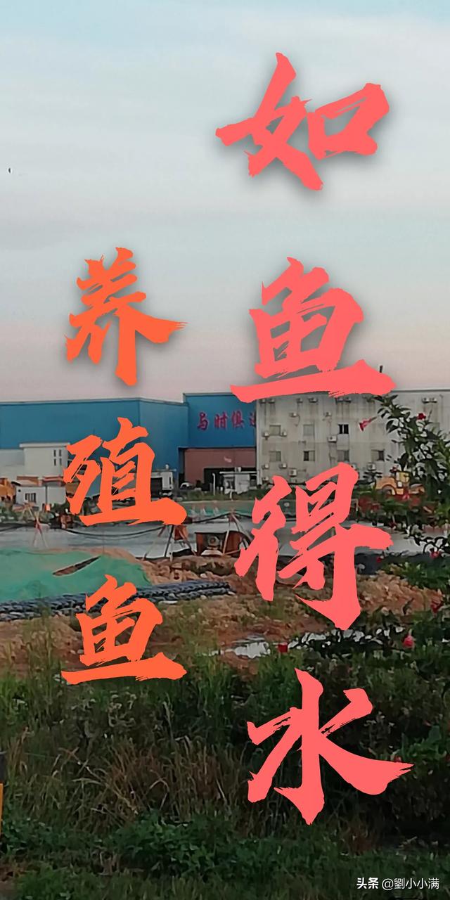 中国畜牧狼才网:我要离职，什么理由最好？
