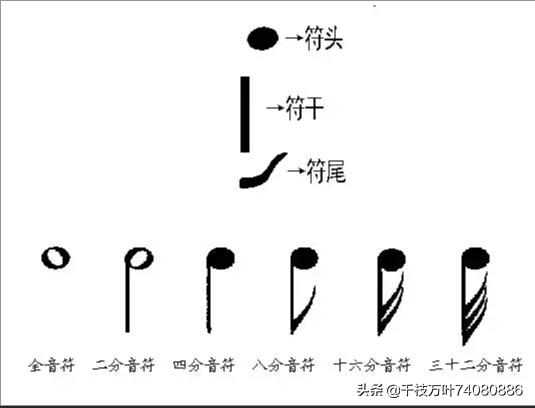 头条问答 四分音符 八分音符的区别是什么 个回答