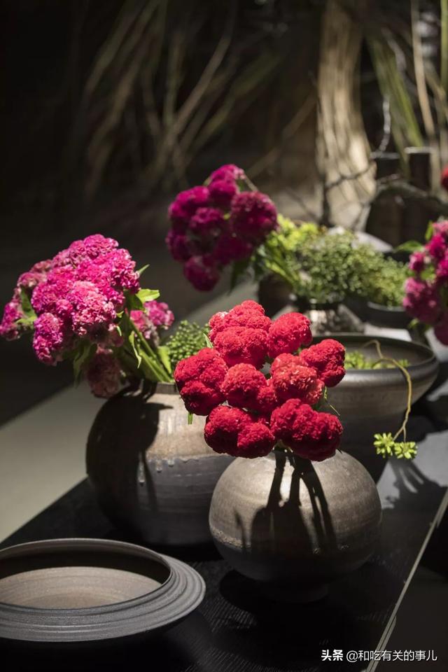 贝壳花瓶:鸡冠花配什么样花瓶好看？