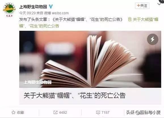 上海事件:上海一演唱会发生踩踏。警方：一女子捡手机被踩伤，你怎么看