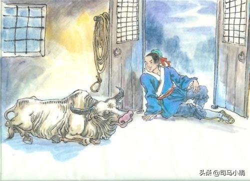 传说织女在河里洗澡,被牛郎偷走了衣服,织女被逼无奈才嫁给牛郎的,你咋评价牛郎？