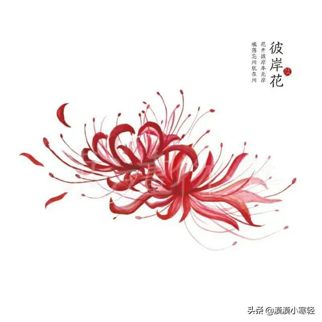 如何用文艺短句说出“我想你了！”？