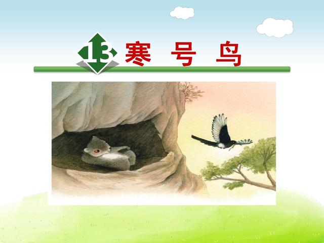 你想对寒号鸟说些什么？