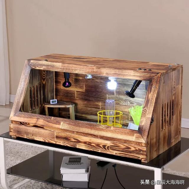 头条问答 - 新买来的乌龟,不想呆在小笼子里,只想爬出去,怎么办?