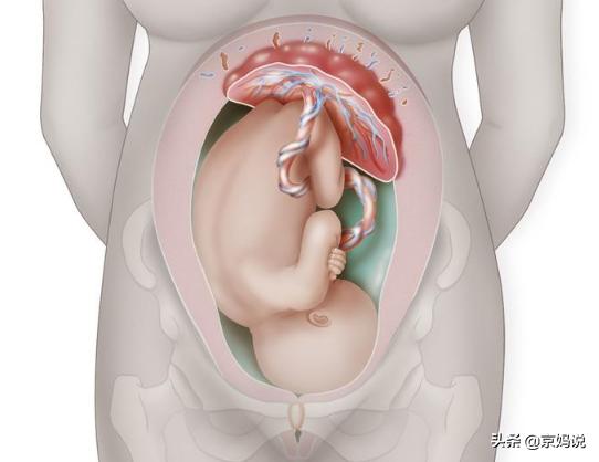孕晚期的注意事项有哪些，孕晚期饮食的注意事项有哪些呢？