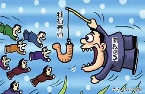 动物性饲料互联网项目:未来饲料行业如何发展电商之路？