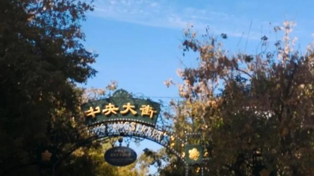 复仇的火焰在我心中燃烧,有没有令你记忆深刻的打架经历？