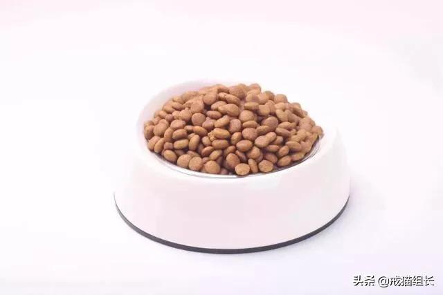 闷猫:猫喜欢吃塑料，该怎么办？