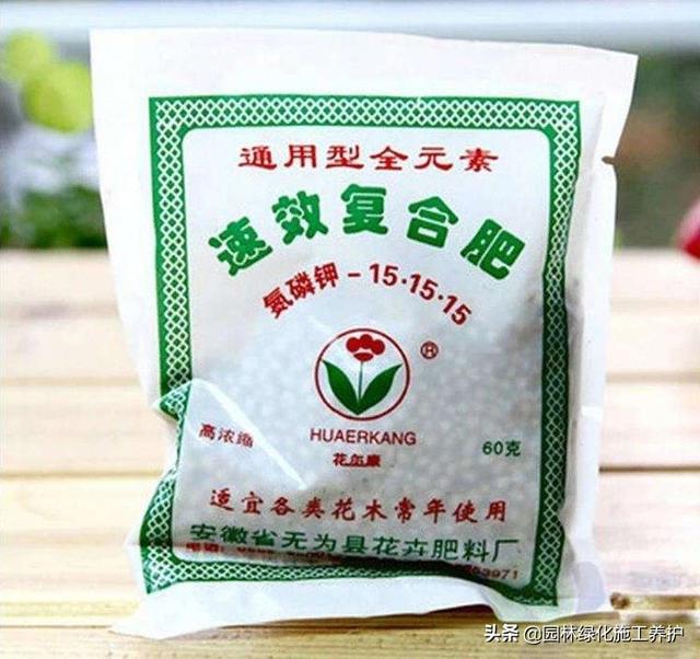 观叶植物营养液花之侣:绿萝黄叶有什么好的营养液吗？