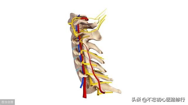 脊椎病的症状都有哪些:颈椎病的症状都有哪些 颈椎病一般都有什么不良反应？