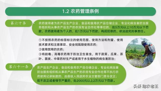 小猪用土霉素片的功效与作用:黄瓜，茄子，西红柿，丝瓜，豆角，大葱都能喷土霉素片吗？