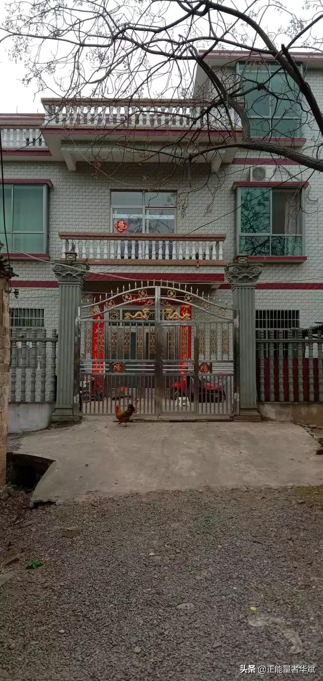 小狗种鲜花在线玩:当你老了，你会选择在城市打麻将遛狗，还是在乡下种种菜养养花？