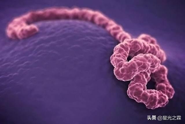 寄生虫感染的免疫:寄生虫感染的免疫特点主要表现为 狗狗驱虫和打疫苗有先后顺序么？