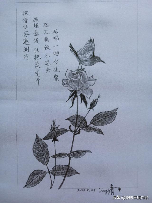 你自己画过哪些画？