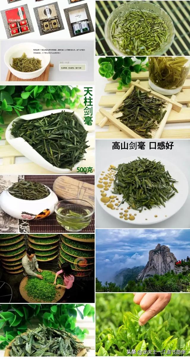 望推荐！安徽有哪些品种的茶叶？