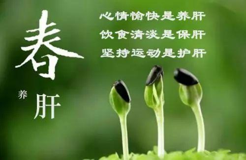 调整情绪的药哪些好用:疏肝解郁活血化瘀的药物有哪些？