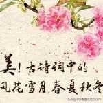 有哪些关于风花雪月,春夏秋冬的优美的句子或诗句？