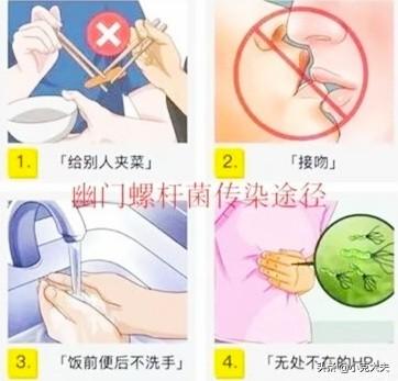 易拉罐 细螺旋病毒:生活中常用的“易拉罐”对身体有害吗？