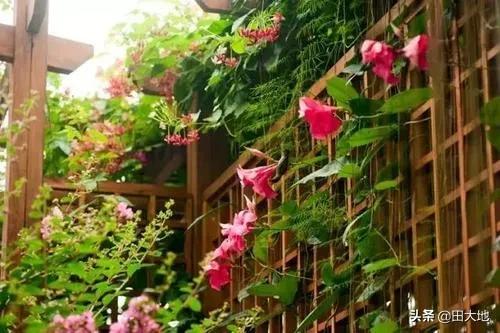 怎么做院子围墙又便宜又好看？插图86