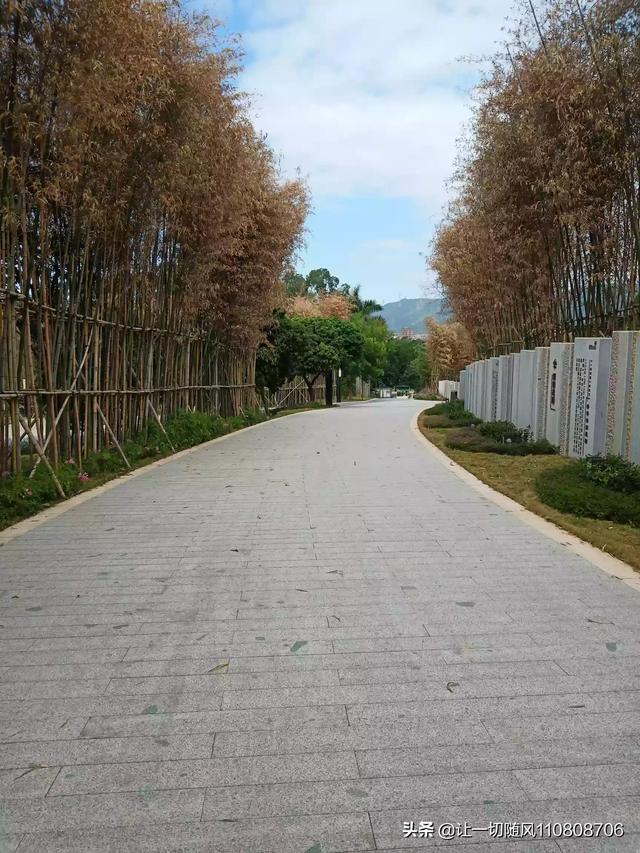 广东有哪些代表性的旅游景点？冬季适合去哪玩？