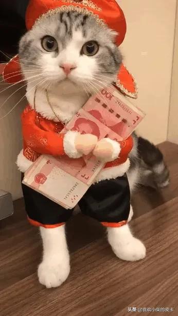招财猫举左手:招财猫举左手和举右手的区别？