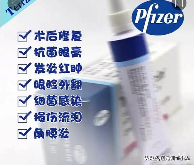 西莎 狗粮流泪篇:哪种狗粮比较好，狗狗吃了不会流眼泪有眼屎，价格比较实惠的？