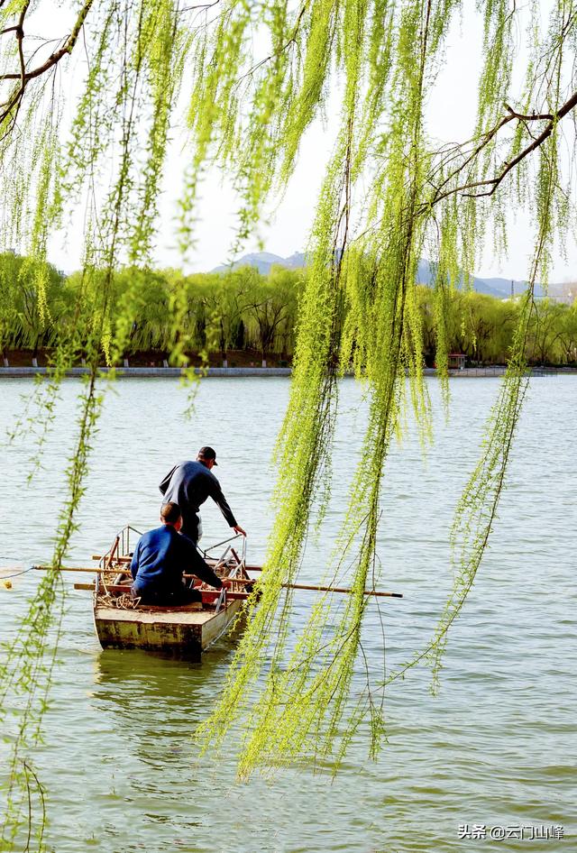 诗情画意的图片:“翠柳轻风春色流”的诗词意境如何拍摄？